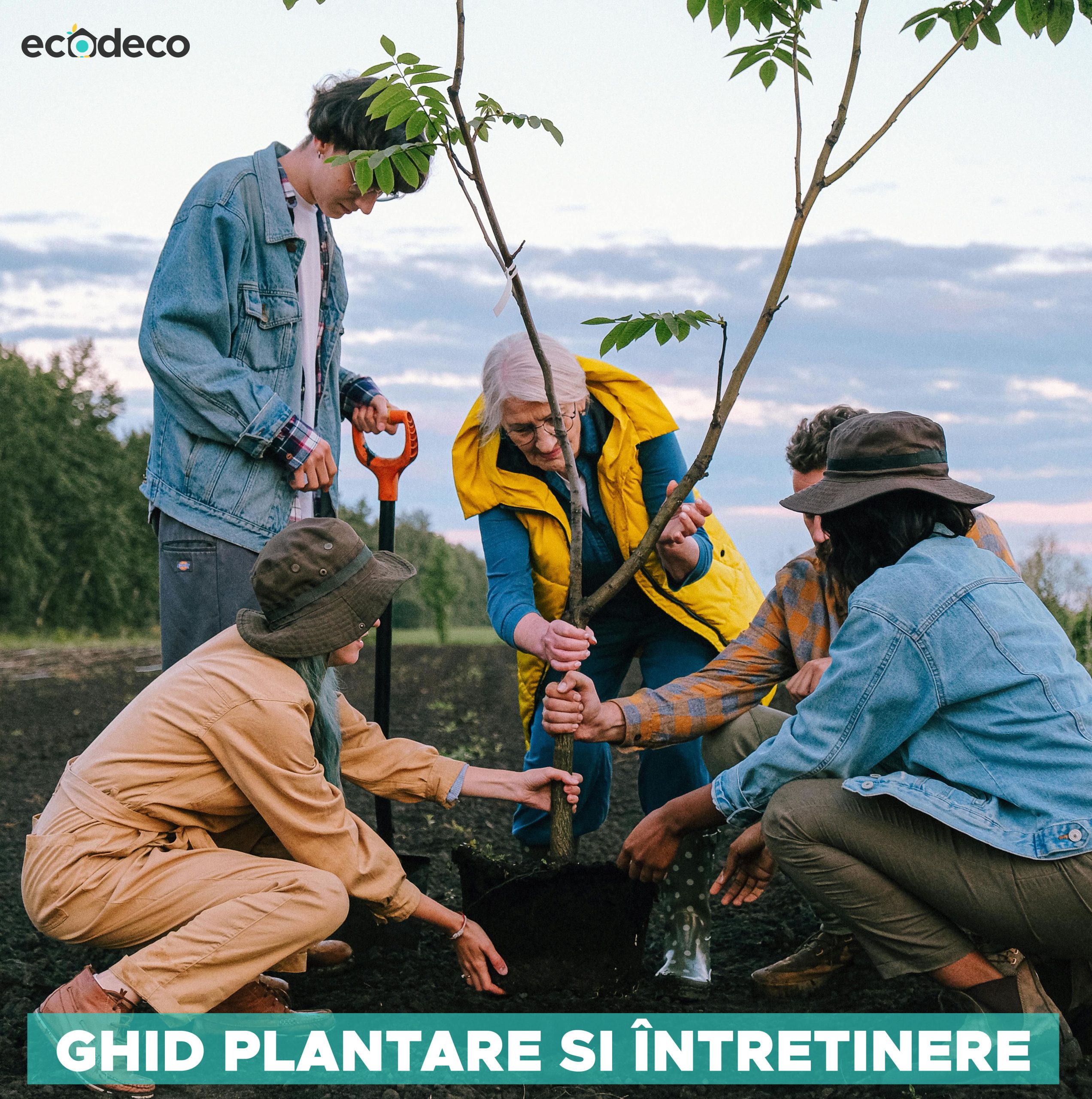 Ghid Plantare si Intretinere