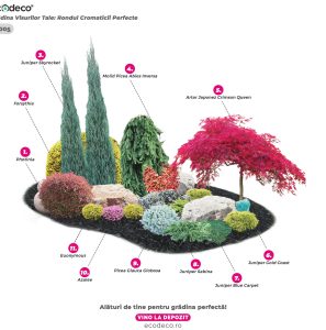 Gradina Visurilor Tale- Rondul Cromaticii Perfecte